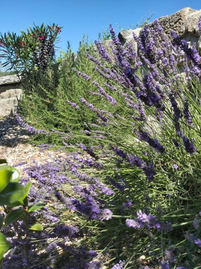 Quinta Das Regueiras Viseu Eksteriør bilde