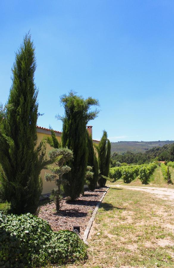 Quinta Das Regueiras Viseu Eksteriør bilde